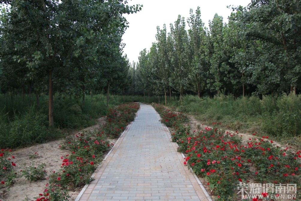 QQͼƬ20130818133814.jpg