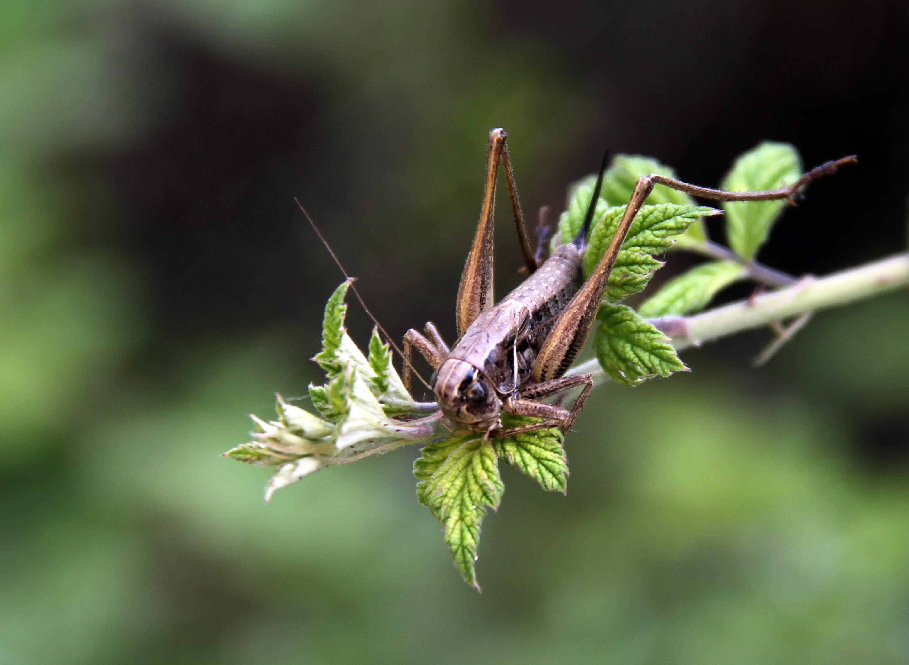 130818��ϰ (5).jpg