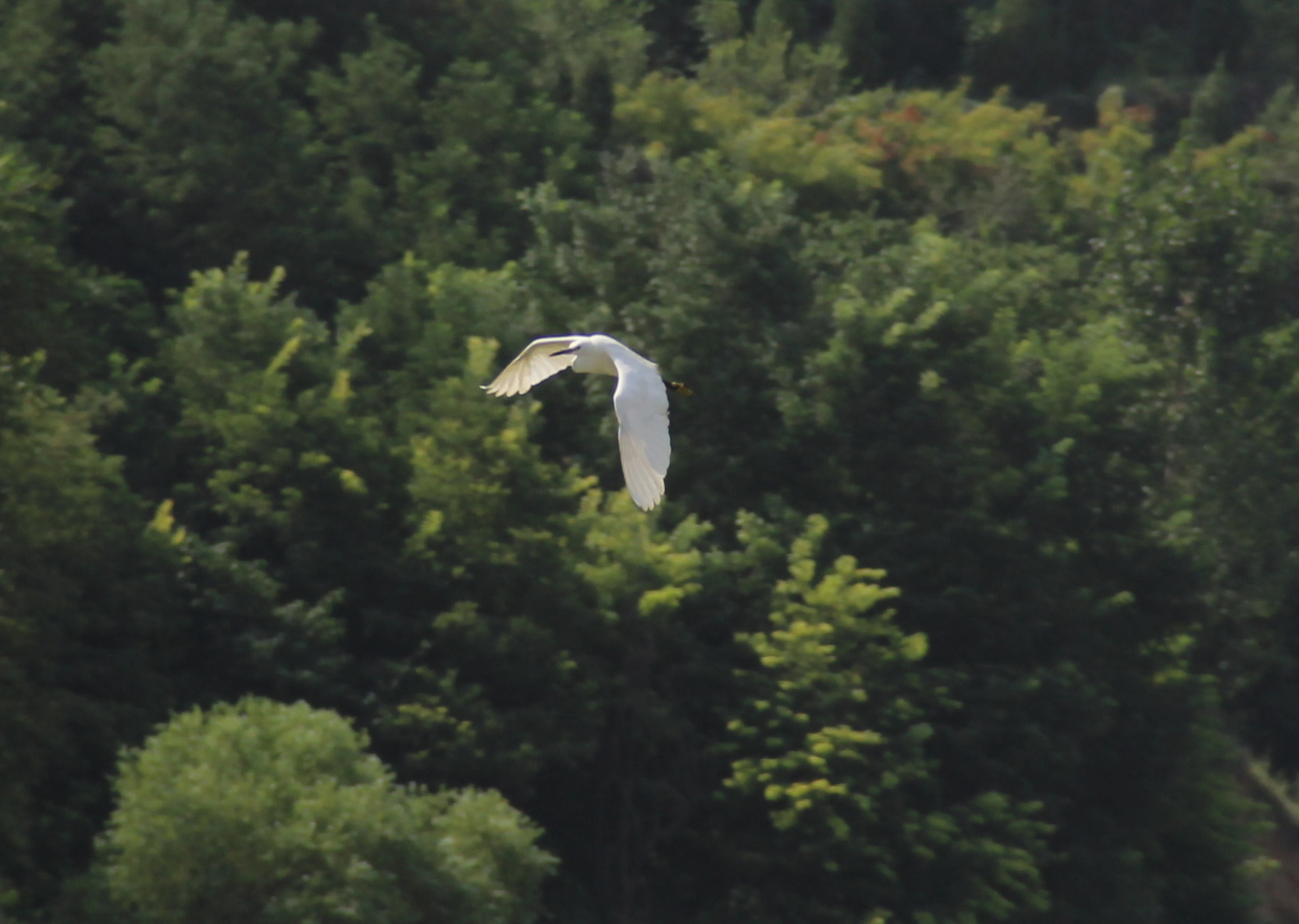 130818��ϰ (73).jpg