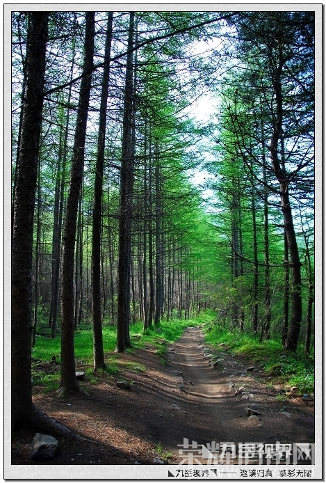 13��Խ����ƺ���ڳ� ��������.jpg