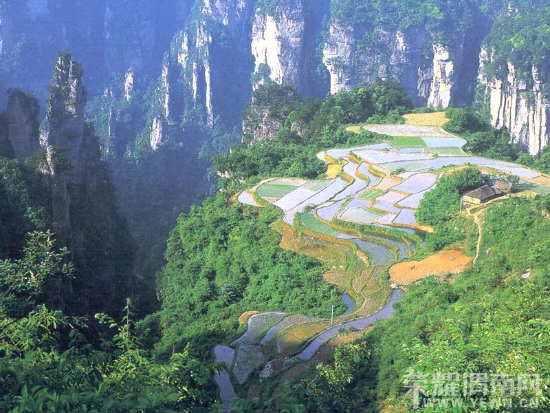 1358547dx0v9g91svsq09s - ���� (2).jpg