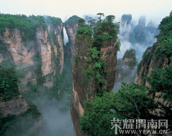 5ef0a714772591d7a4eeed2ee6ad583b - ���� - ����.jpg