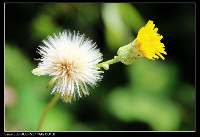 130818��ϰ (84).jpg