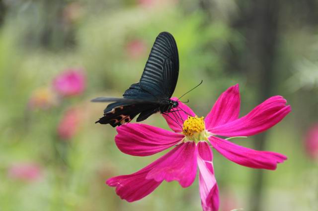 ������С IMG_5692.JPG