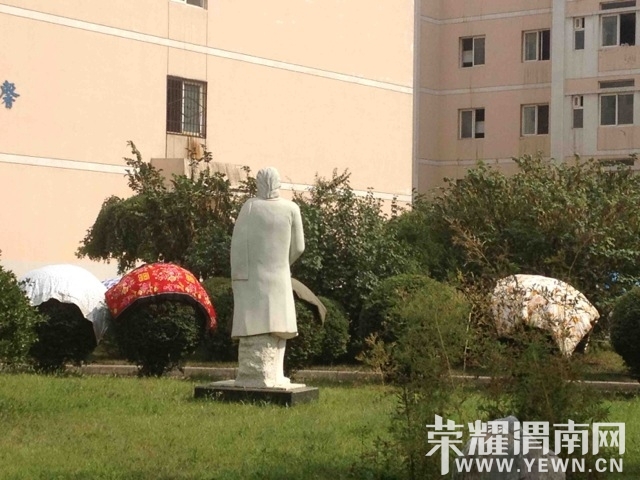 876829.jpg