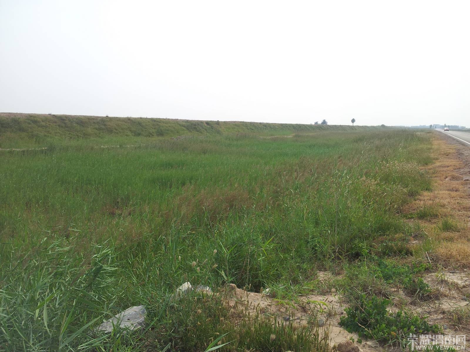 20130903_153744.jpg