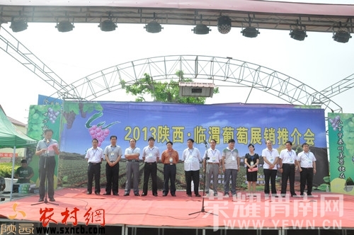 20130906105343484.jpg
