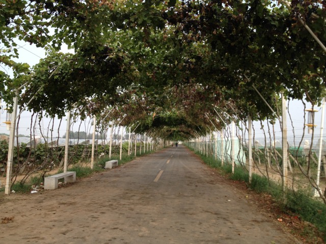 20130908190125_13549.jpg