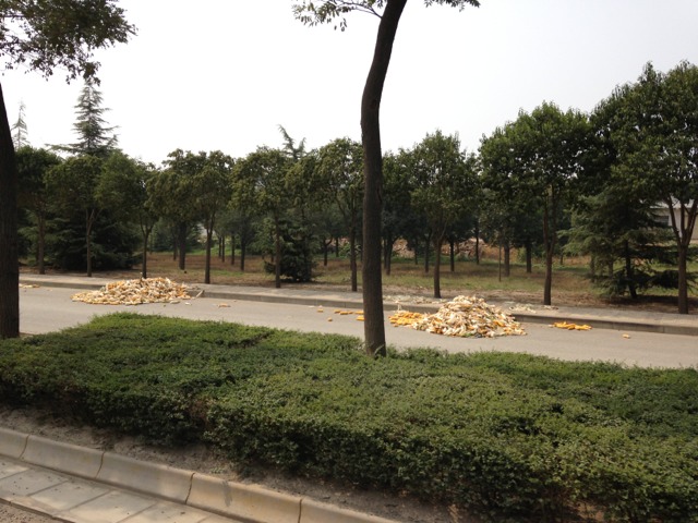20130909145054_75244.jpg