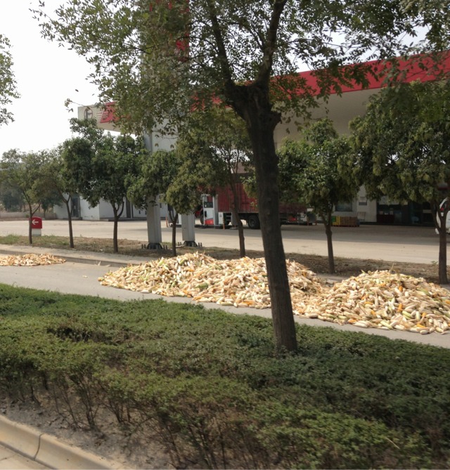 20130909145055_52933.jpg