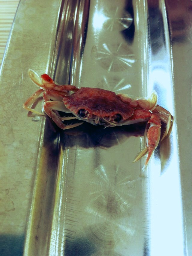 20130909165300_92069.jpg