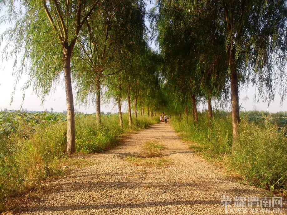 [生活资讯] 美丽东秦