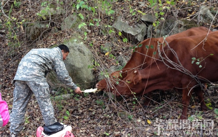 ˧������ô��ô���أ���ƾ���Ҳ�ڵ�Ϸѽ��