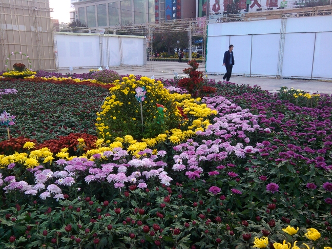 20131024065240_75773.jpg