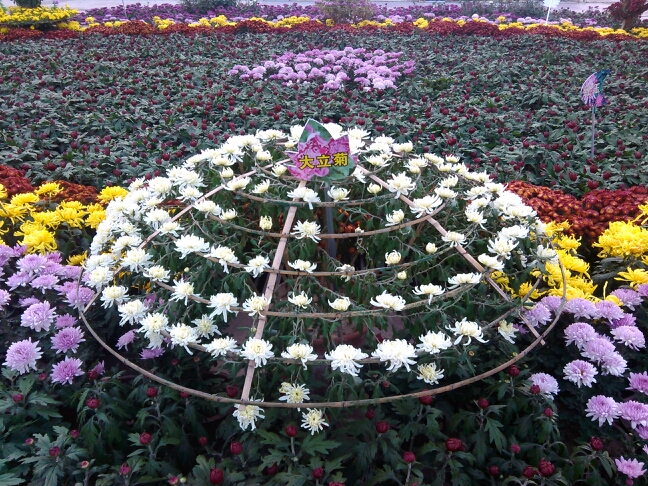 20131024065302_82801.jpg