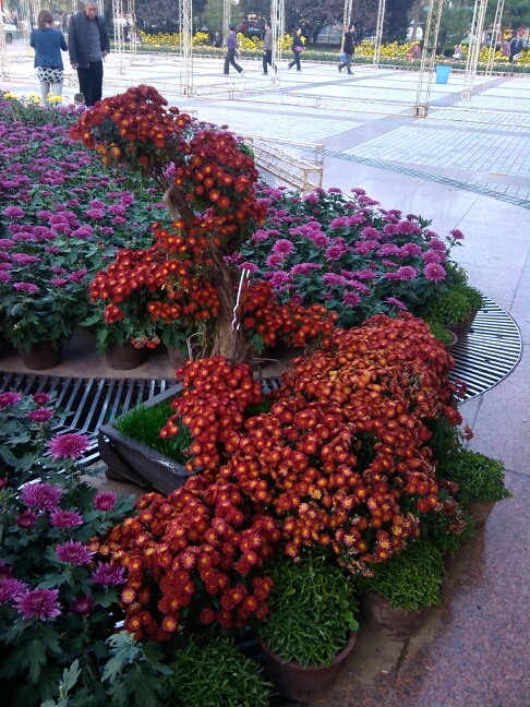 20131024065318_25777.jpg