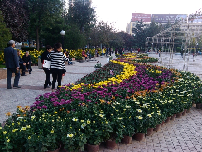 20131024065519_91511.jpg