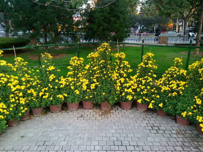 20131024065537_79219.jpg