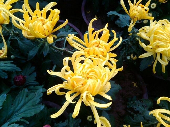 20131024065553_75238.jpg
