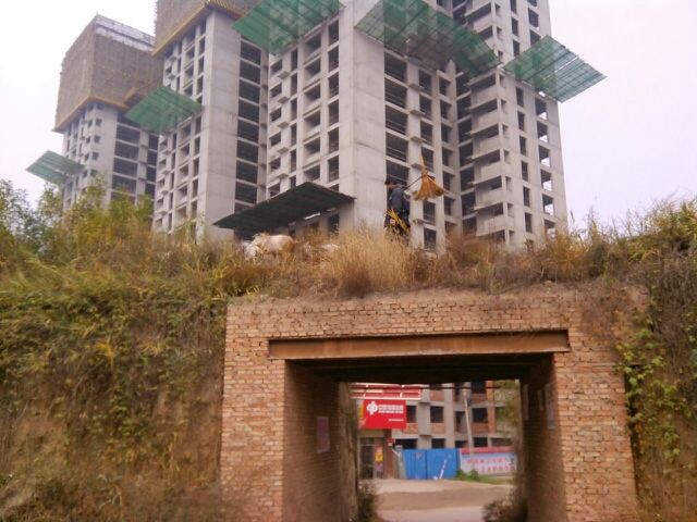 20131103180605_83972.jpg