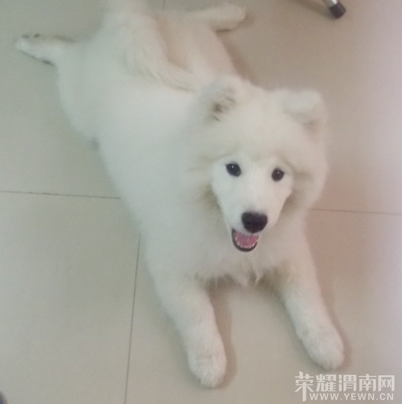 QQͼƬ20131114005028.jpg