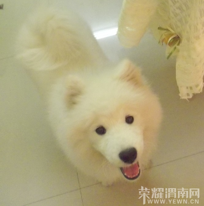 QQͼƬ20131114005129.jpg
