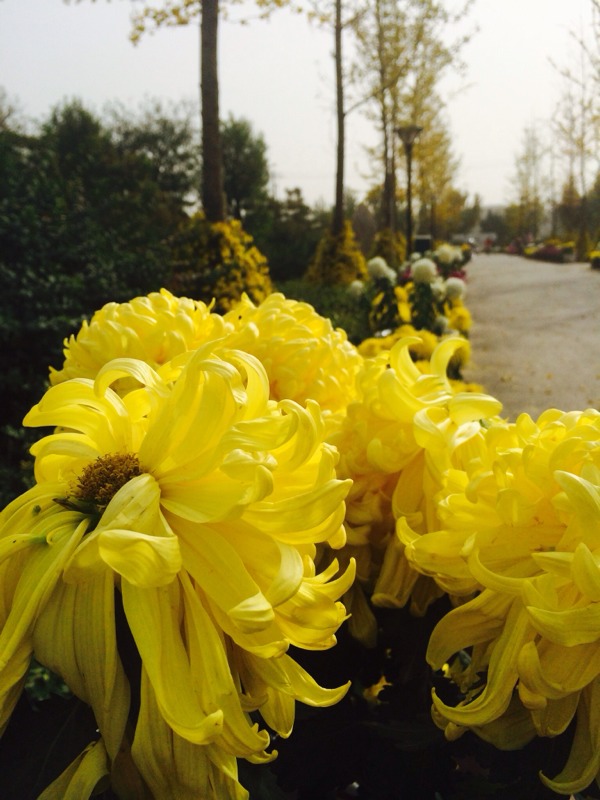 20131114144231_41483.jpg