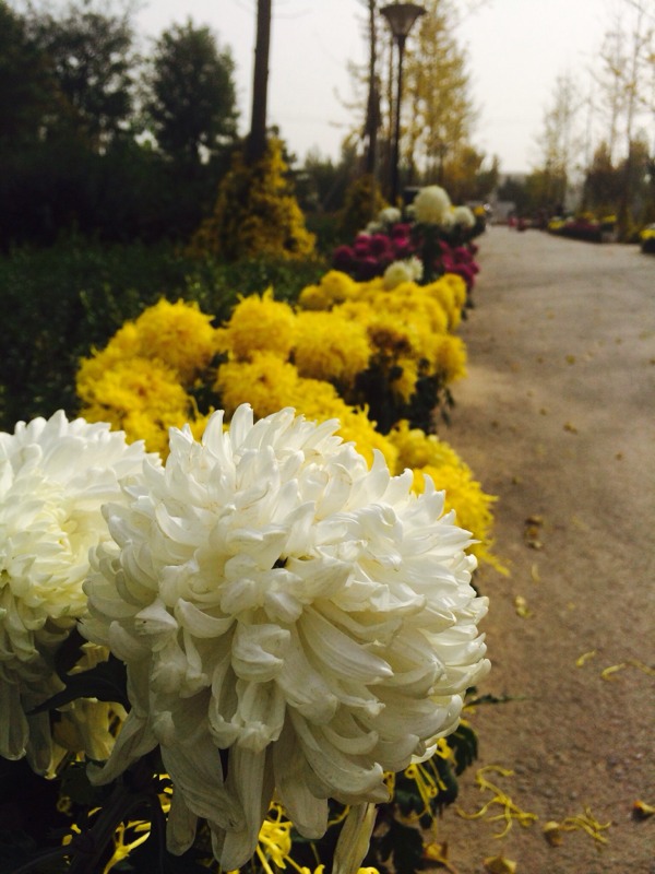 20131114144241_68081.jpg