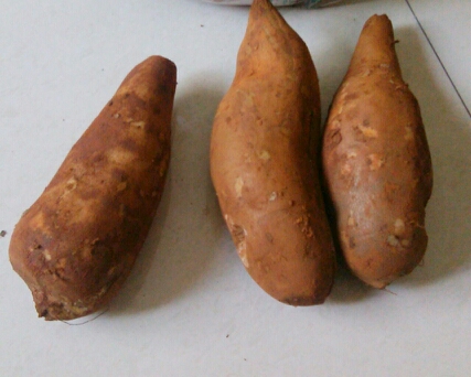 20131130170820_13125.jpg