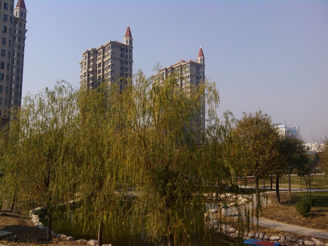 20131201160539_80811.jpg
