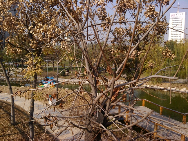 20131201160543_18911.jpg