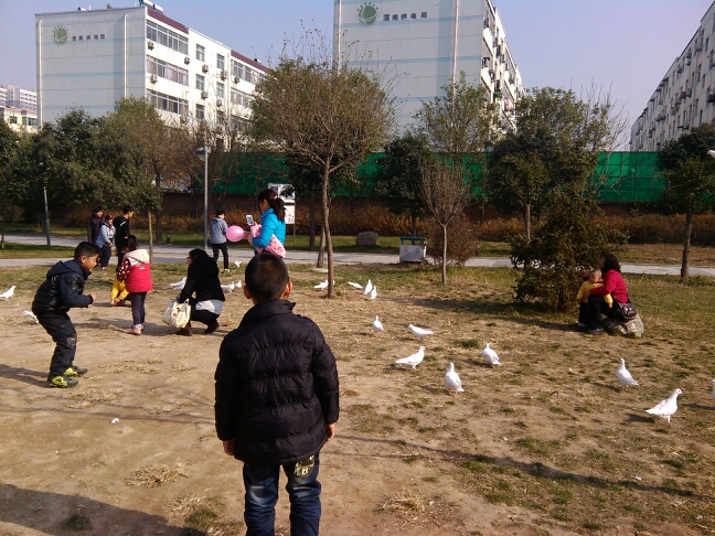 20131201160549_90627.jpg