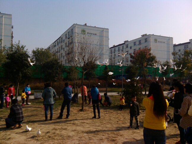 20131201160634_74261.jpg