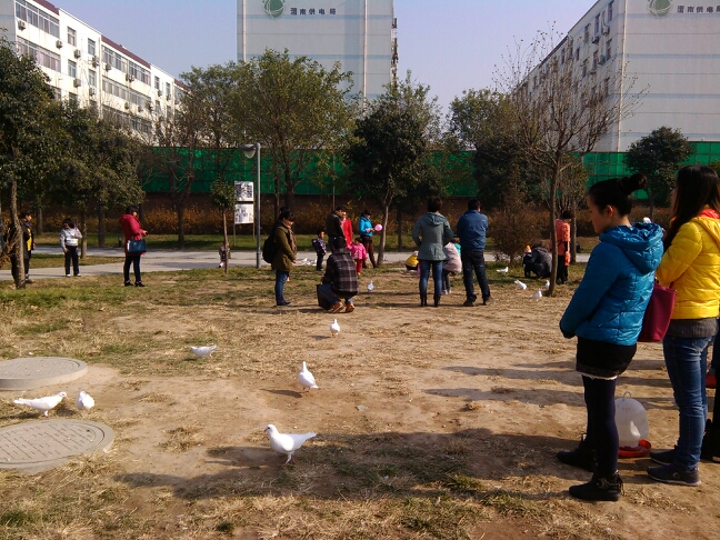 20131201160638_81920.jpg