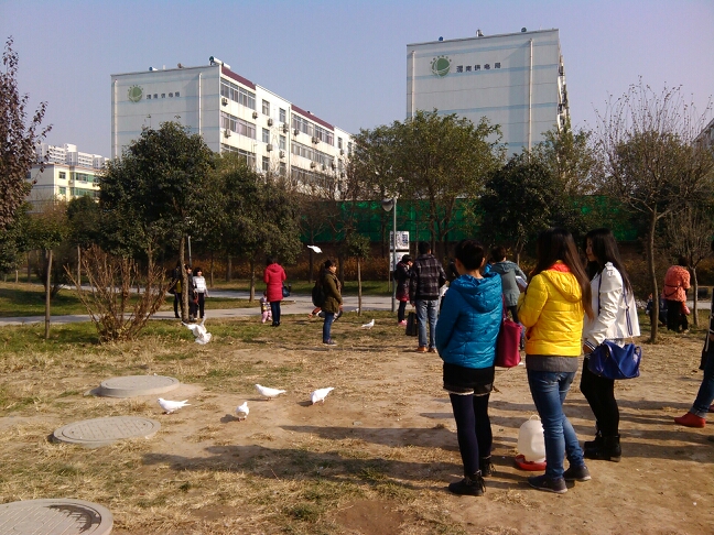 20131201160641_13066.jpg