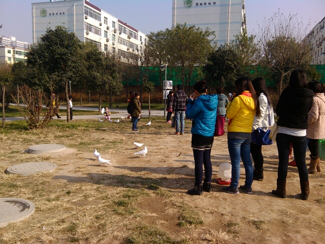 20131201160644_11264.jpg