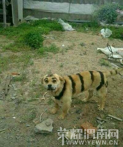 ���ϻ�