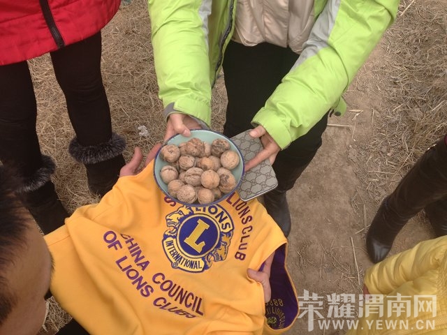 �������ʷ�����