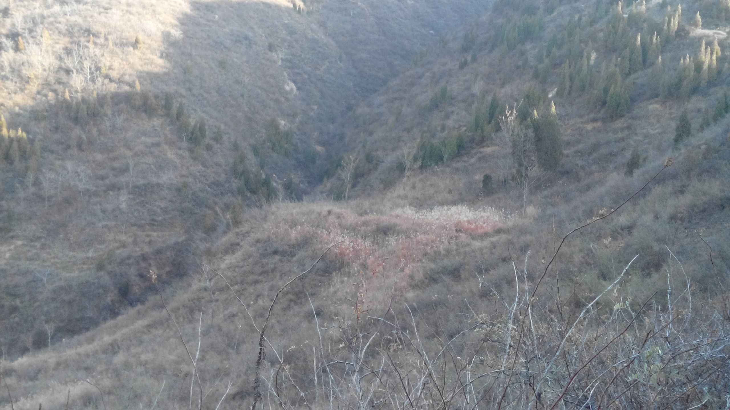 ��«����ֲ��