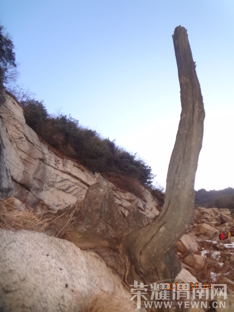 DSC07740.JPG