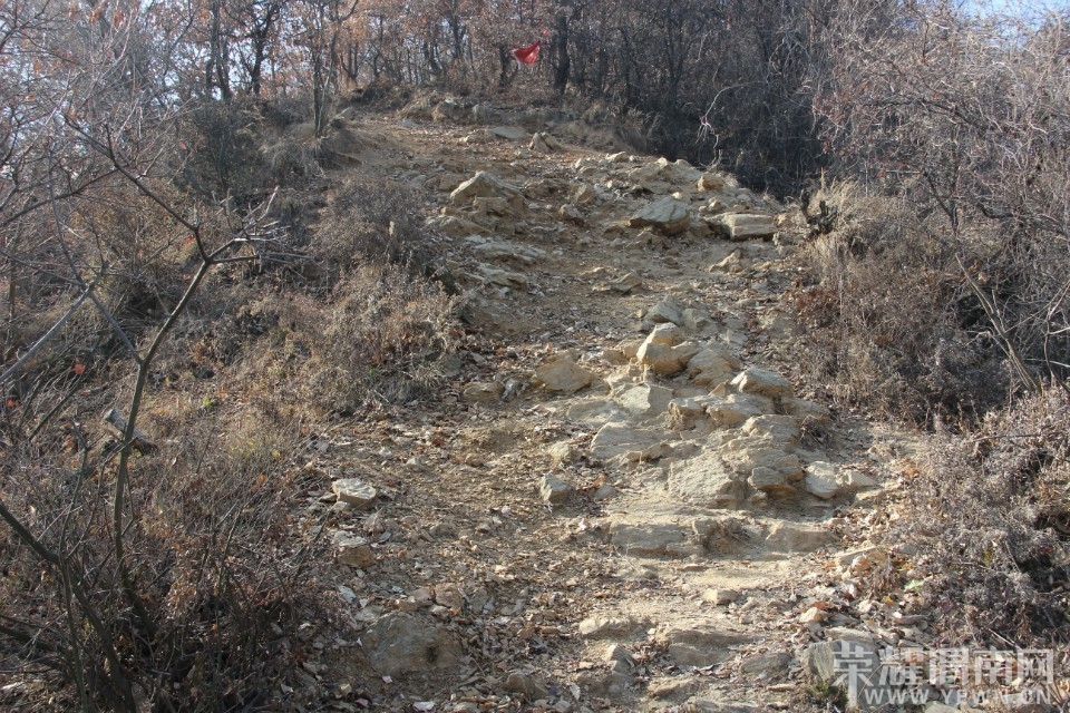 QQͼƬ20140110104428.jpg