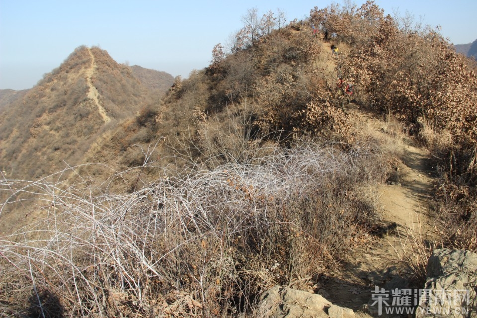 QQͼƬ20140110104501.jpg