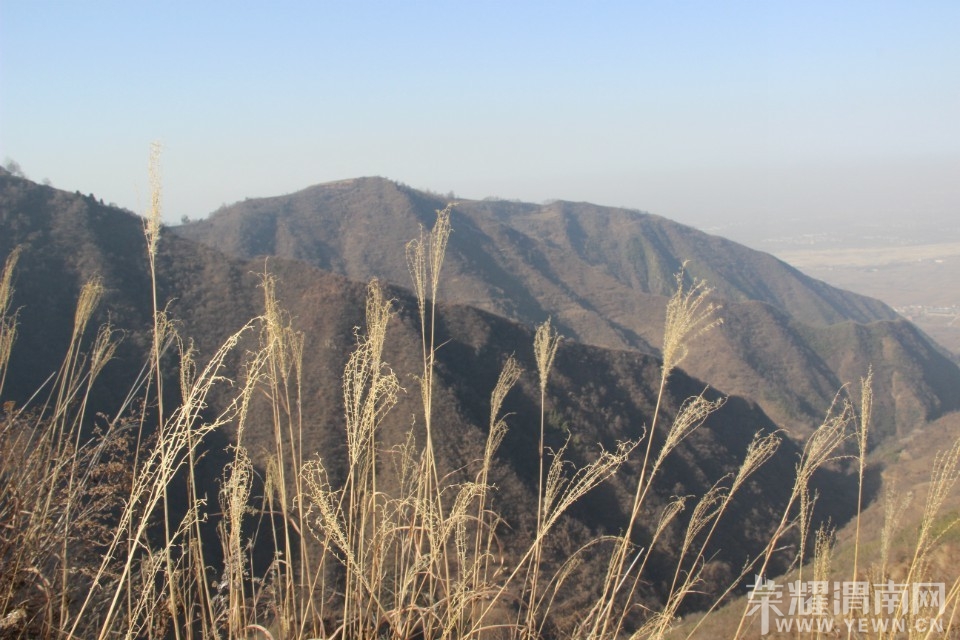 QQͼƬ20140110104701.jpg