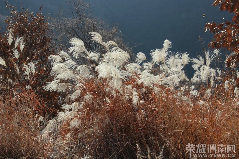 QQͼƬ20140110104715.jpg