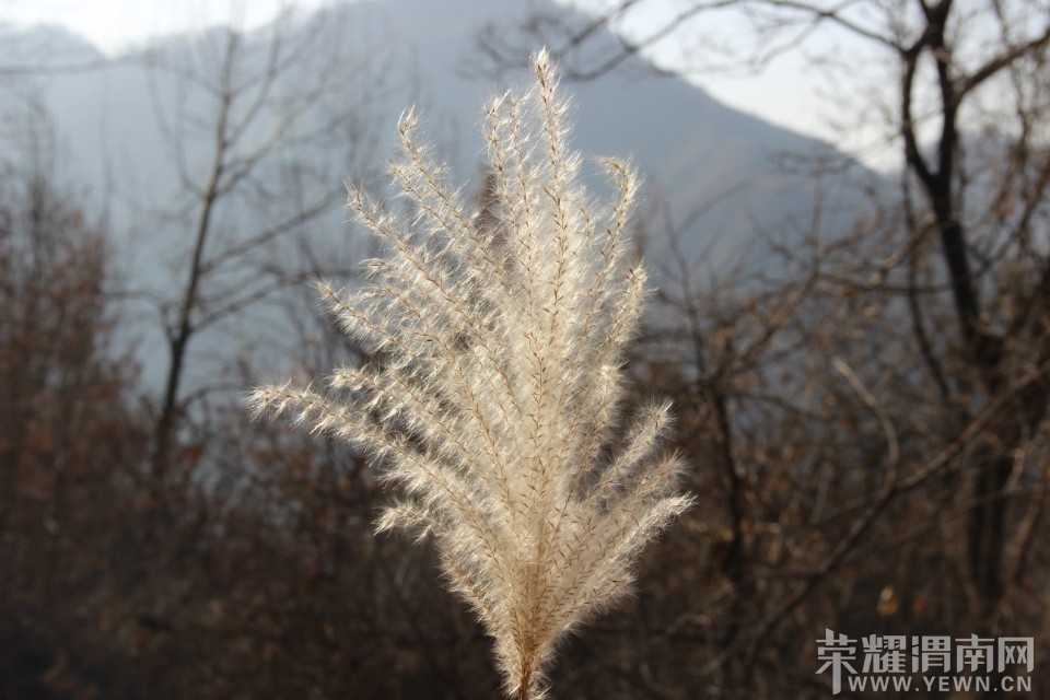 QQͼƬ20140110104744.jpg