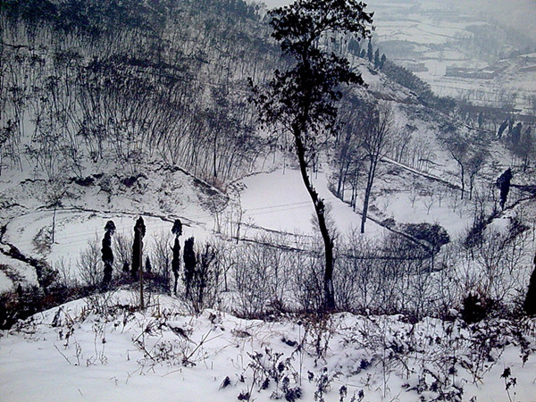 psb (5)_����.jpg