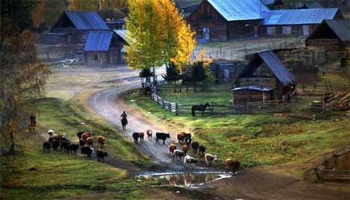 ������׹��ʹ�