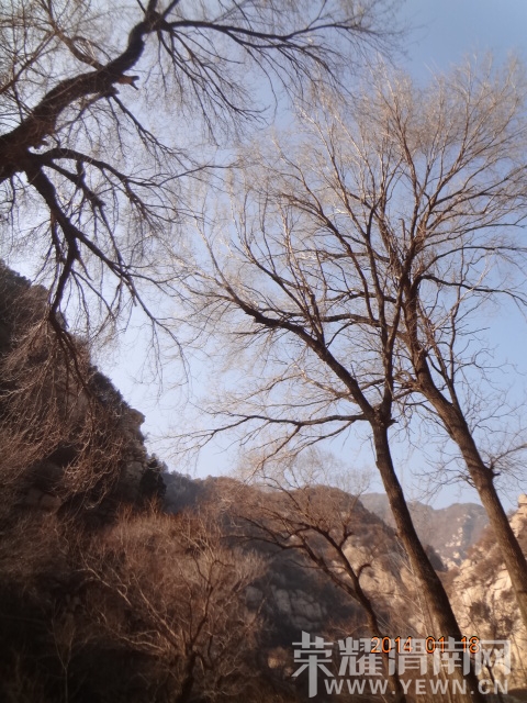 DSC08449.JPG