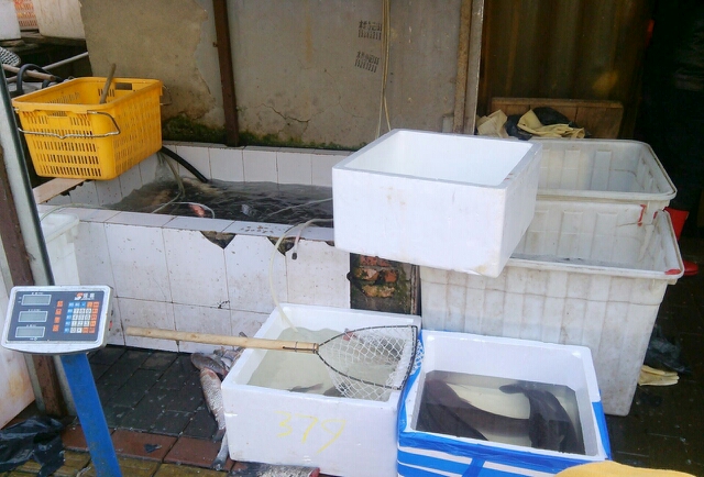 20140125153855_20491.jpg