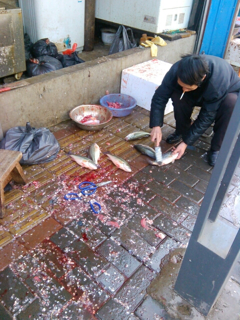 20140125153916_19092.jpg